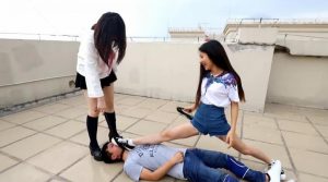 〖H.P.L栖心之栈〗—天台花式戏谑