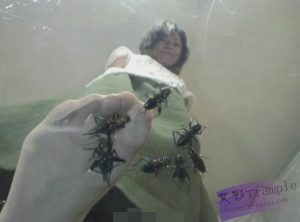 GEN's LABO” ヾセスの赤いハイヒール