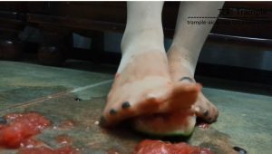 帆布鞋少女VS西红柿