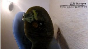 HelgaLi 马丁靴玻璃板上碾踩烂蟑螂