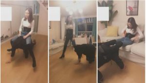 桑爷，骑马钻跨、口水踩踏