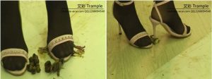 国内美女黑丝多双高跟踩烂青蛙，龙虾，蜗牛，场面惨不忍睹