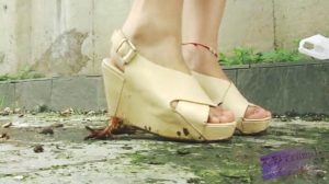 黄色坡跟 VS 荔枝 小龙虾 小黄鳝