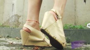 黄色坡跟 VS 荔枝 小龙虾 小黄鳝