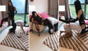 红色妖姬,狗奴是怎样被本主训练而成的-97LZTD-T78008858