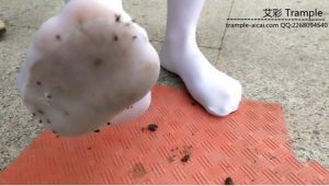 小姐姐白丝袜踩蚂蚁