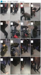 【小雅女王】双S户外和闺蜜玩狗