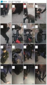 【小雅女王】双S户外和闺蜜玩狗