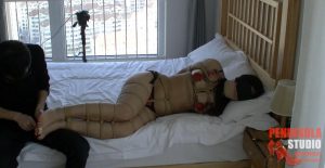 半岛束艺台_蓝鲸TK