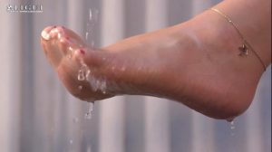 丽柜一品之果儿_