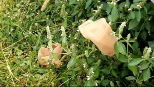 走了一天终于可以出来透透气了