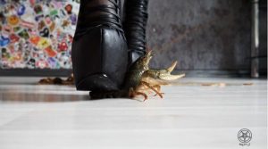 Helga Li女神金属高跟残忍踩龙虾