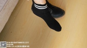 英语课本八十一章视频课件