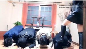 维亚-四狗伺主 裙下之臣