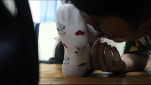 小MM秀棉袜猥琐男舔<2部视频+314张套图>