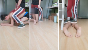 北京fiona-学生主暴力虐家奴