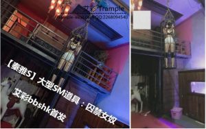 【秦雅S】大型SM道具：囚禁女奴-MTBT-0008