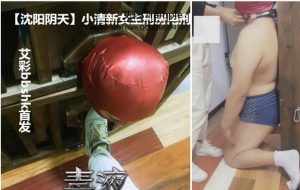 【沈阳阴天】小清新女主刑房用刑-97LZTD-11186