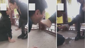 【双子姬】超虐！大连公园训狗-97LZTD-1185