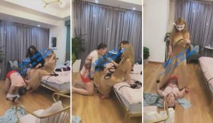 【鱼七S】和闺蜜换各种刑具重度抽狗-97LZTD-1191