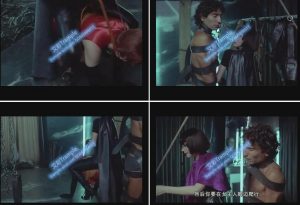 提供SM服务的高级妓女 279-97LZTD-1221