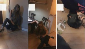 双子姬，极度侮辱口水耳光踩踏泰迪-97LZTD-1319