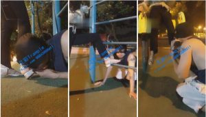 【Betty 贝蒂】户外体育公园遛狗-97LZTD-3303