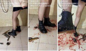 萌棠工作室 萌棠主 渔网袜马丁靴爆踩群泥鳅-97LZTD-834055