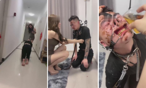 【莉莉丝】超美模特首调狗-97LZTD-835068107