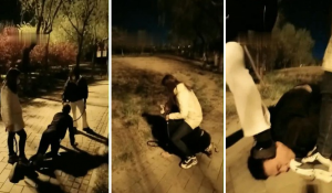 【红杉】户外玩狗-97LZTD-83506822