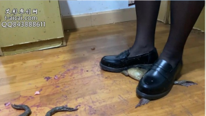 妖姬黑丝小皮鞋爆踩牛蛙