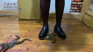 妖姬黑丝小皮鞋爆踩牛蛙