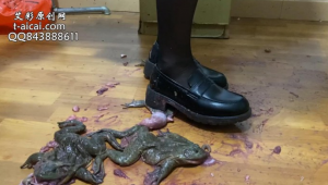 妖姬黑丝小皮鞋爆踩牛蛙