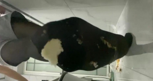 美脚下的盛宴大餐