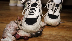 【栗子绝版】体育课极品臭鞋踩死