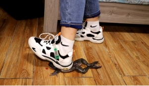 【栗子绝版】体育课极品臭鞋踩死