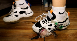 【栗子绝版】体育课极品臭鞋踩死