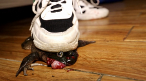 【栗子绝版】体育课极品臭鞋踩死