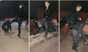 【鑫儿教头】户外公开军训爬行犬-97LZTD-83506912