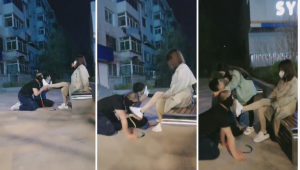 【傲柔】精彩-超强3S户外遛狗群殴【完整版】-97LZTD-83506932