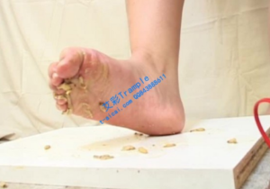 羞涩小护士踩碎金鱼害虫insect cr