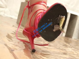 羞涩小护士踩碎金鱼害虫insect cr