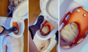 【领主老大】黄金狗-97LZTD-103774