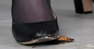 欧美Crush O-200811-3-97LZTD-117528