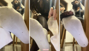 【珊瑚湾】小璐-臭棉袜套黑丝粗口辱母草泥马满天飞-97LZTD-450808