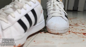 纯儿肉丝黑色贝壳头全体重碾踩金鱼乌龟 YC-250705-97LZTD-450867