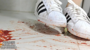 纯儿肉丝黑色贝壳头全体重碾踩金鱼乌龟 YC-250705-97LZTD-450867