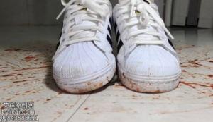 纯儿肉丝黑色贝壳头全体重碾踩金鱼乌龟 YC-250705-97LZTD-450867