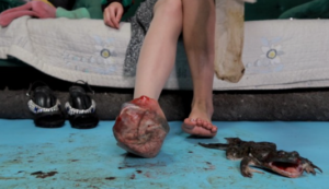 【芊芊】凉鞋丝袜里踩两只牛蛙-97LZTD-450868