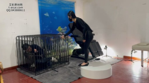 极致的遛狗不疼 但非常难受 YC-250706-9-97LZTD-450898